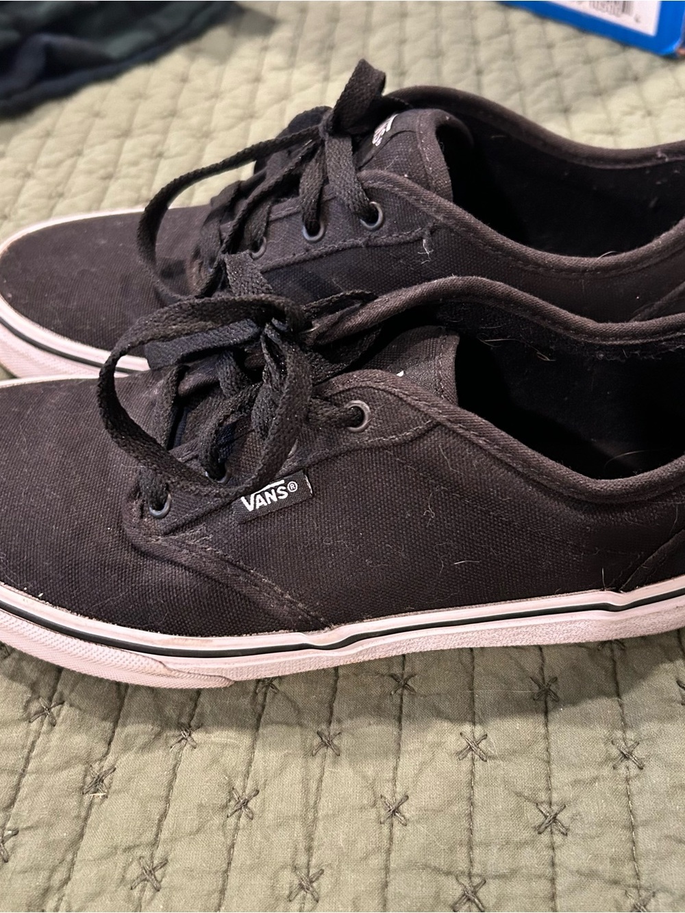 Vans Black Canvas Low-Top Skate Sneakers